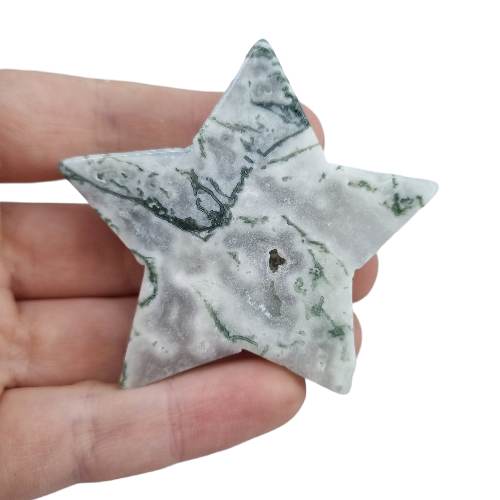 Tree Agate Star 