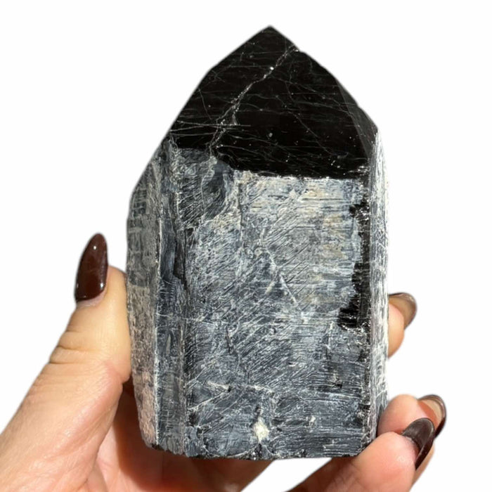 Black Tourmaline Polished Top Generator