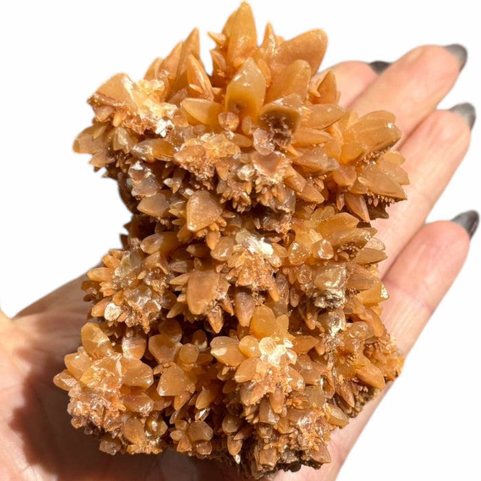 Creedite Cluster