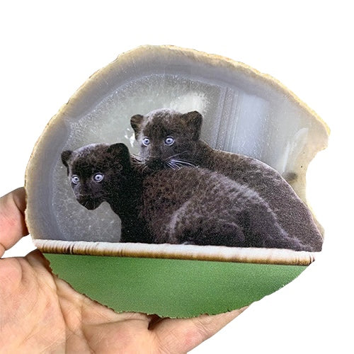 Agate Slice Natural With Printed Design - Leopard Cubs
