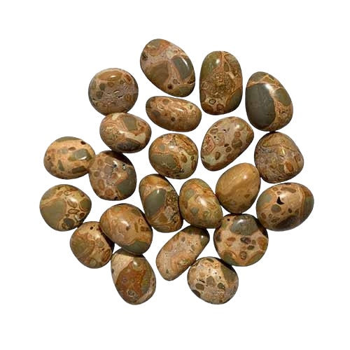 Leopard Skin Jasper Tumbled 2-2.5cm