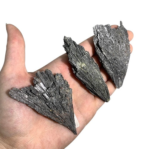 Black Kyanite Feather Pack 3pcs