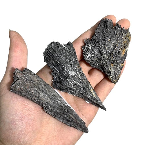 Black Kyanite Feather Pack 3pcs