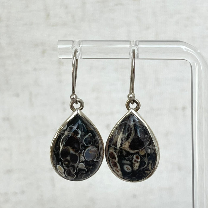 Turritella Agate Sterling Silver Earrings