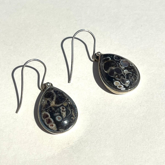 Turritella Agate Sterling Silver Earrings