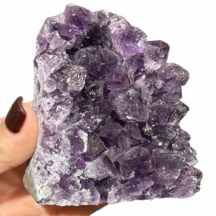 Amethyst Cluster