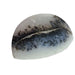 dendritic agate cab 1