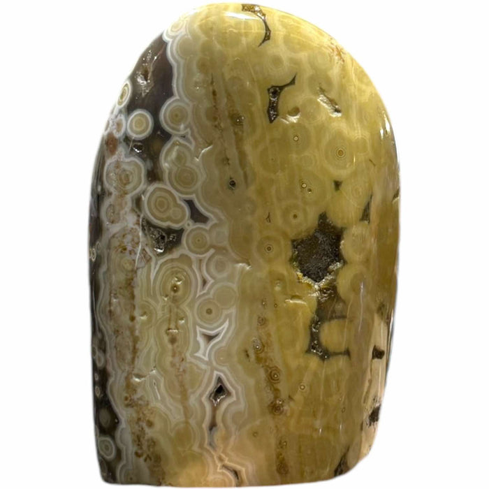 Ocean Jasper Free Form