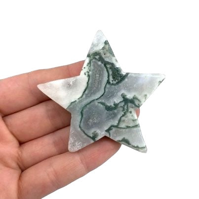 Tree Agate Star 