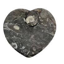 Orthoceras Heart Bowl