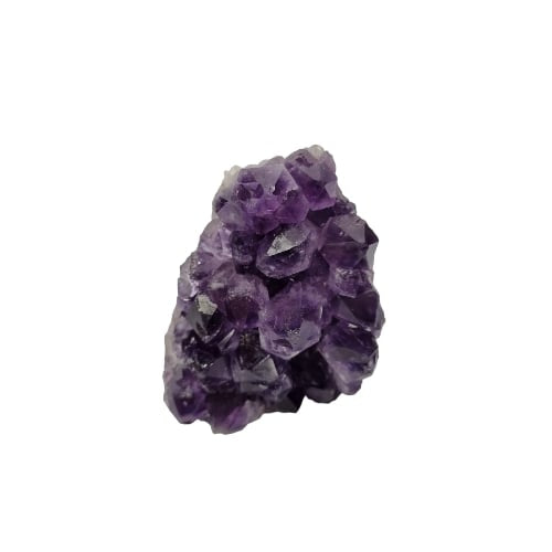 Amethyst standing cluster