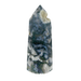 MOSS_AGATE_GENERATOR