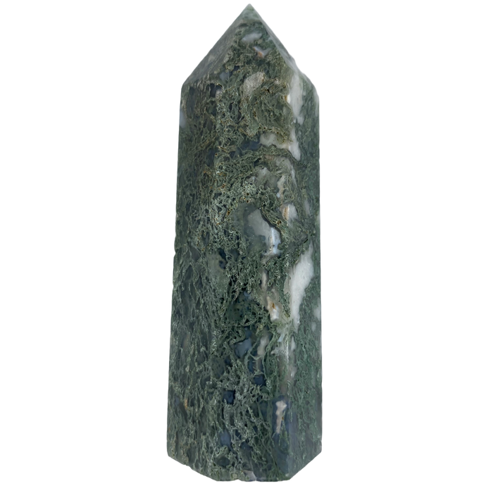 MOSS_AGATE_GENERATOR