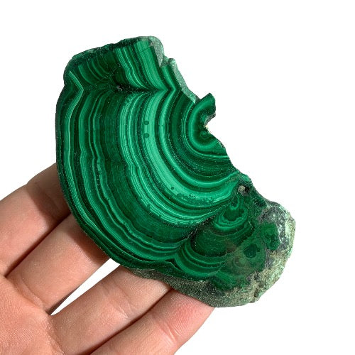 Malachite Slice polished 12