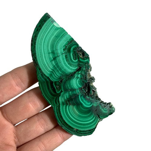 Malachite Slice polished 15