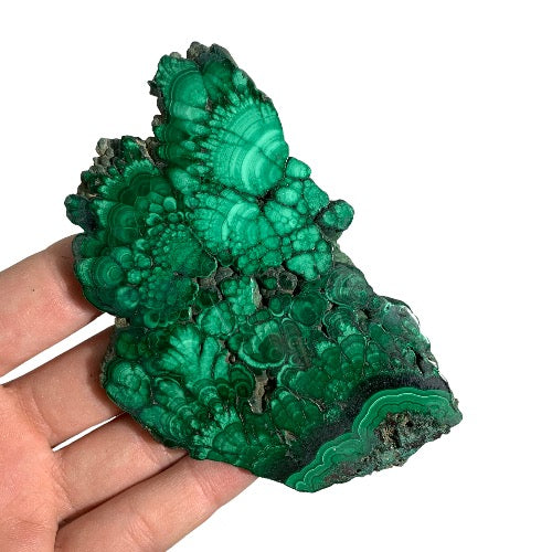 Malachite Slice polished 16