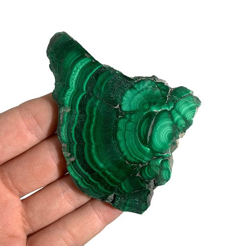 Malachite Slice polished 18