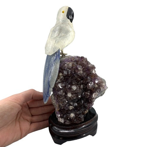 Parrot on Amethyst Cluster