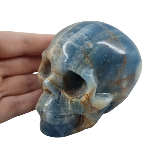 blue ony skull 1