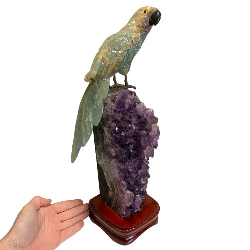 Blue Onyx Parrot on Amethyst Cluster