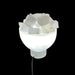 Selenite Bowl Lamp With PiecesSelenite Bowl Lamp With Pieces