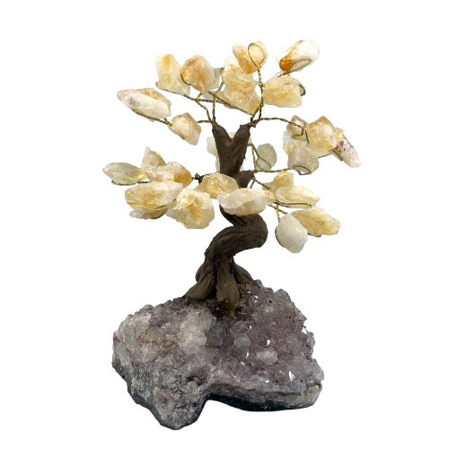 Citrine Gem Tree on Amethyst Cluster Base