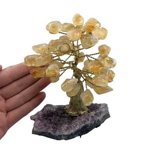 citrine gold trunk 1