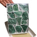 Fuchsite Rough Box