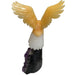lrg eagle 1