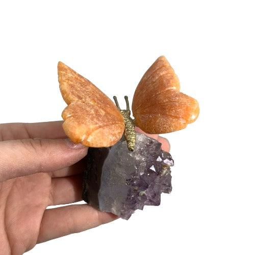 orchid calcite butterfly