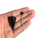 shungite pend 1