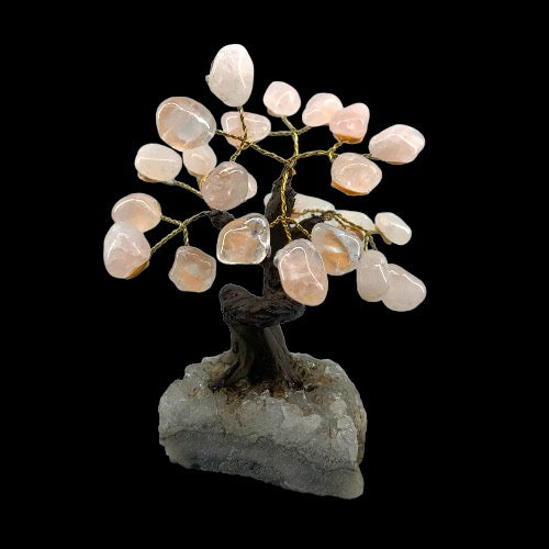 Rose Quartz Gem Tree on Amethyst Cluster Base - Polished