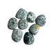 tree agate tumbled lrg