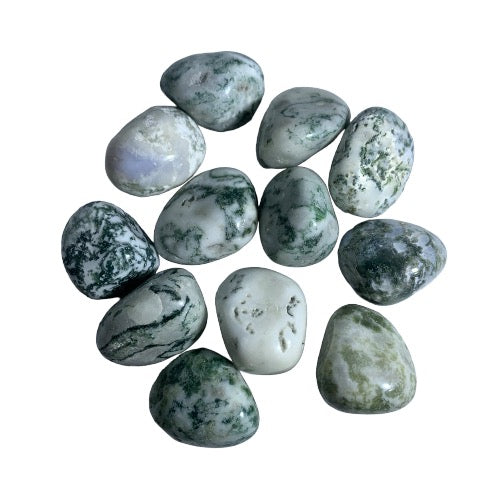 tree agate tumbled med