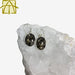 Turritella Agate Sterling Silver Earrings